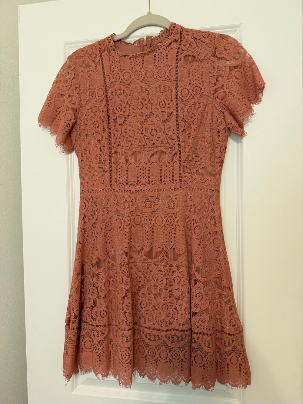 Boutique Lace Short Sleeve Fit & Flare Dress in Dusty Rose